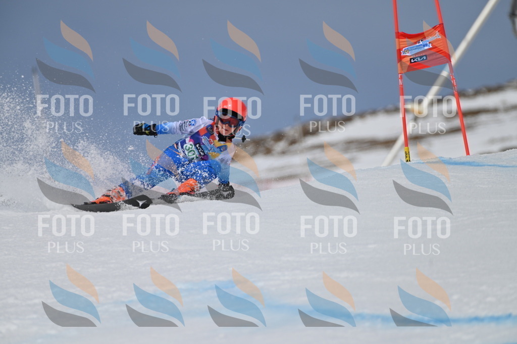 BGV_6080 | holidayphoto