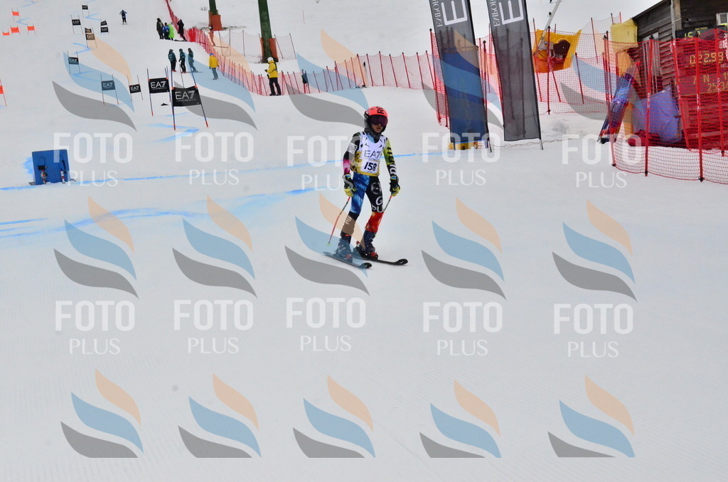 _ELE3845 | holidayphoto