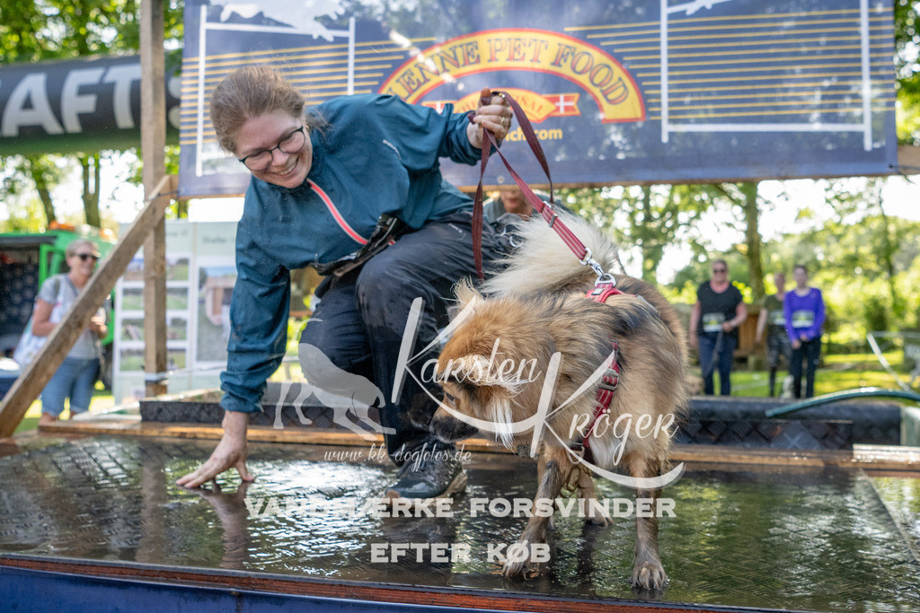 1541_ZZ92744 | kk-dogfotos