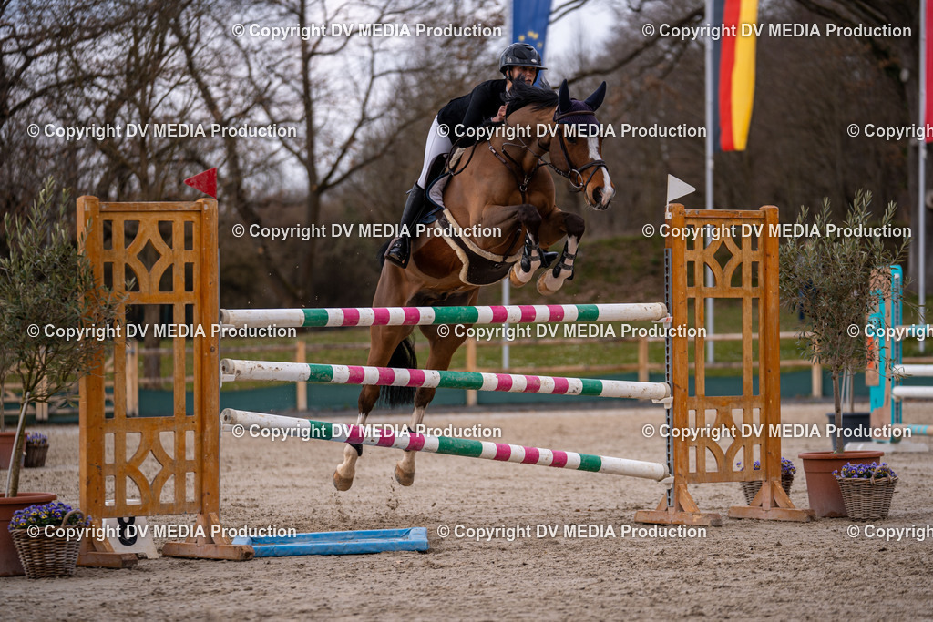 Kranichstein Tag 2-2171 | dv-media-shop - Realisiert mit Pictrs.com