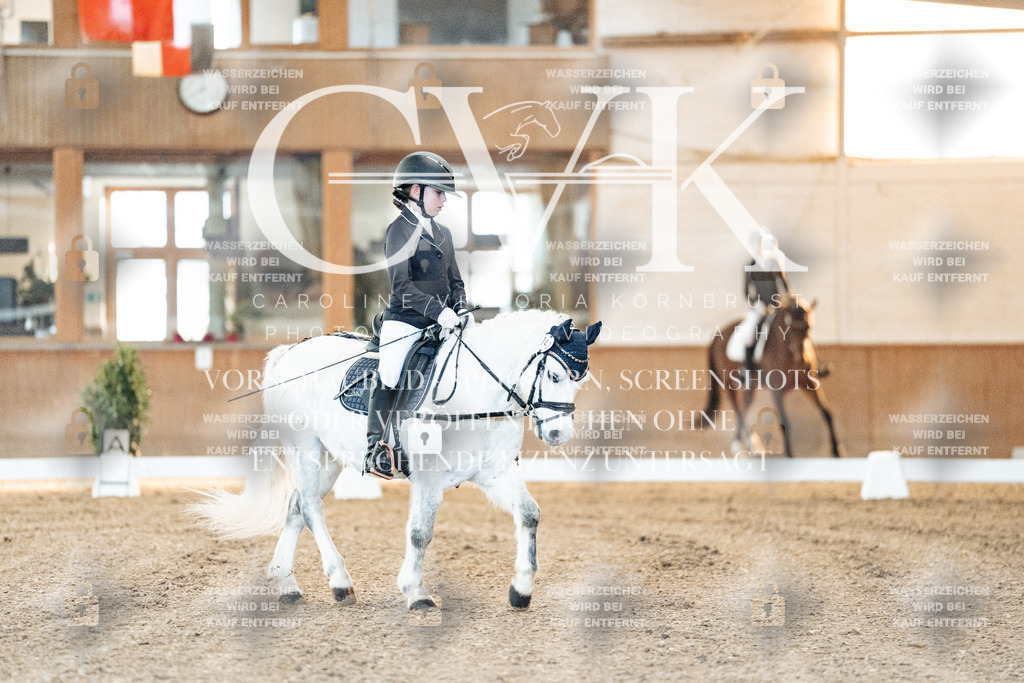 CK906378 | Turnierfotografie Pferdefotografie Trier Rheinland-Pfalz Pferdesport Reitsport Tierfotografie Sportfotografie Pferdevideo Pferdevideografie Equestrianvideography equestrianphotography  - Realisiert mit Pictrs.com