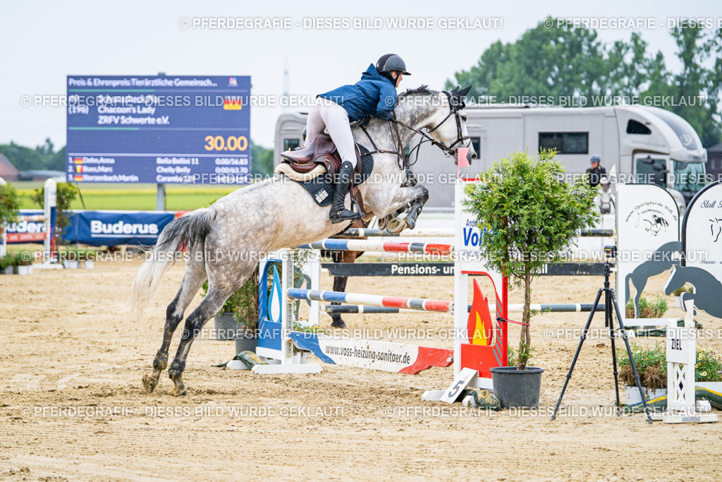 DSC08196 | Pferdegrafie