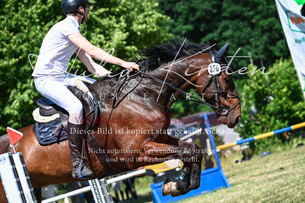 DSC_1223 | Pferde- und Turnierfotografie in Westsachsen. Pferdeportraits, Auftragszeichnungen und intuitive Kunst.