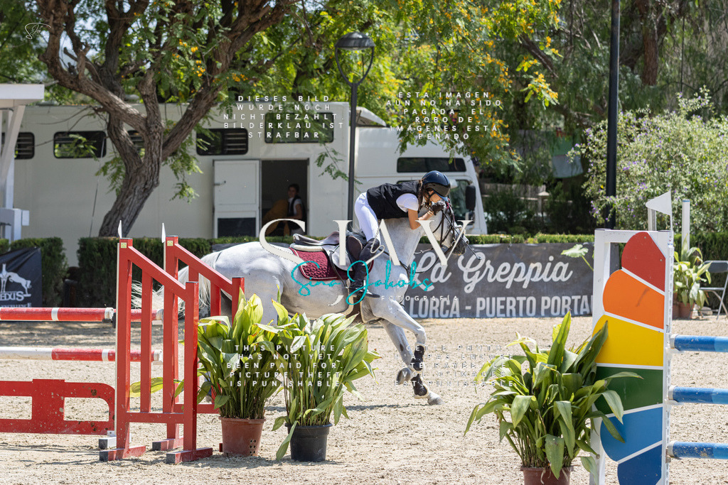 IMG_7980 | s-jay-photography - Realisiert mit Pictrs.com