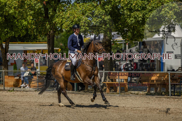 26-7-24 SPF M+-966 | mandyhollmannphotographie