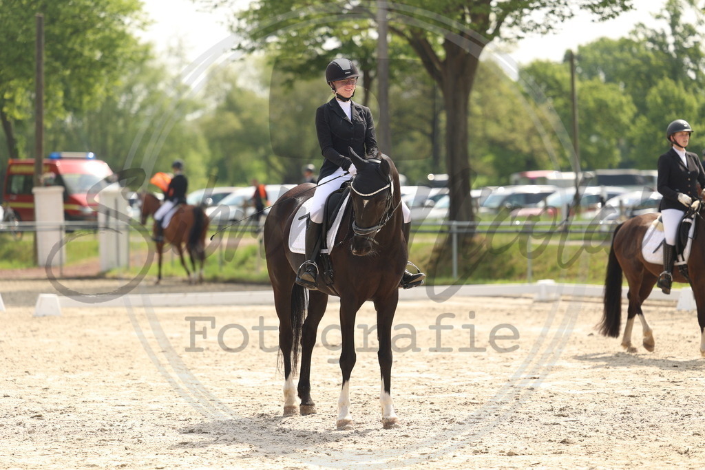 994A6538 | sabrinanicolaifotografie - Realisiert mit Pictrs.com