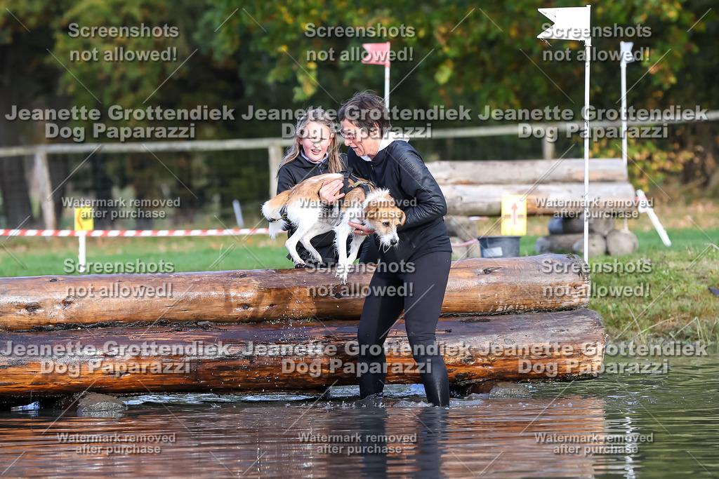 Dog Paparazzi - Strongdog 10-25-8293 | Dog Paparazzi Jeanette Grottendiek Fotografie & Videografie - Realisiert mit Pictrs.com