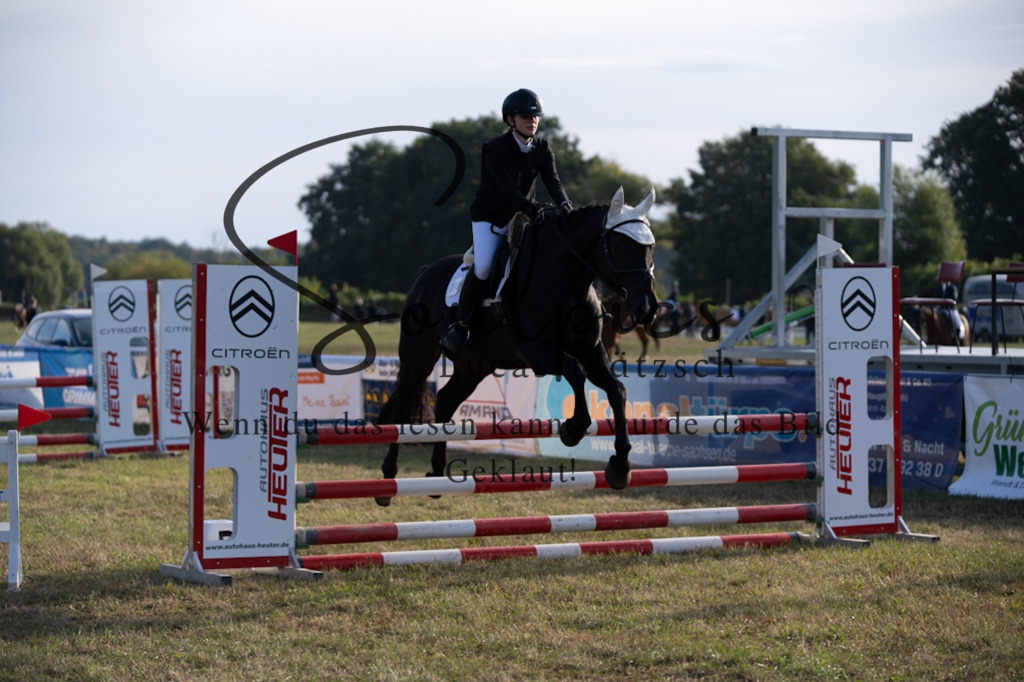 A7V08051 | Pferdefotograf