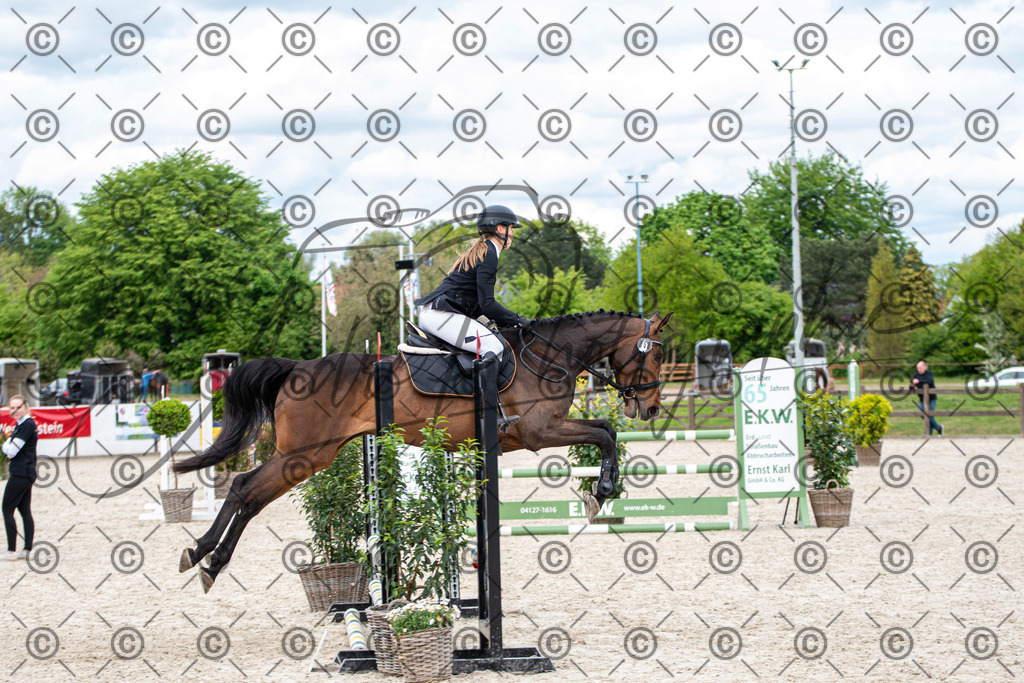 KPT_6164 | andre_photographic