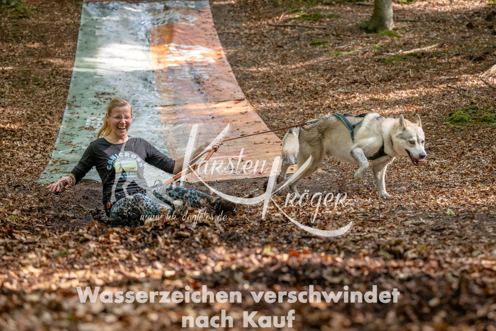 1217_ZZ93819-Bearbeitet | kk-dogfotos