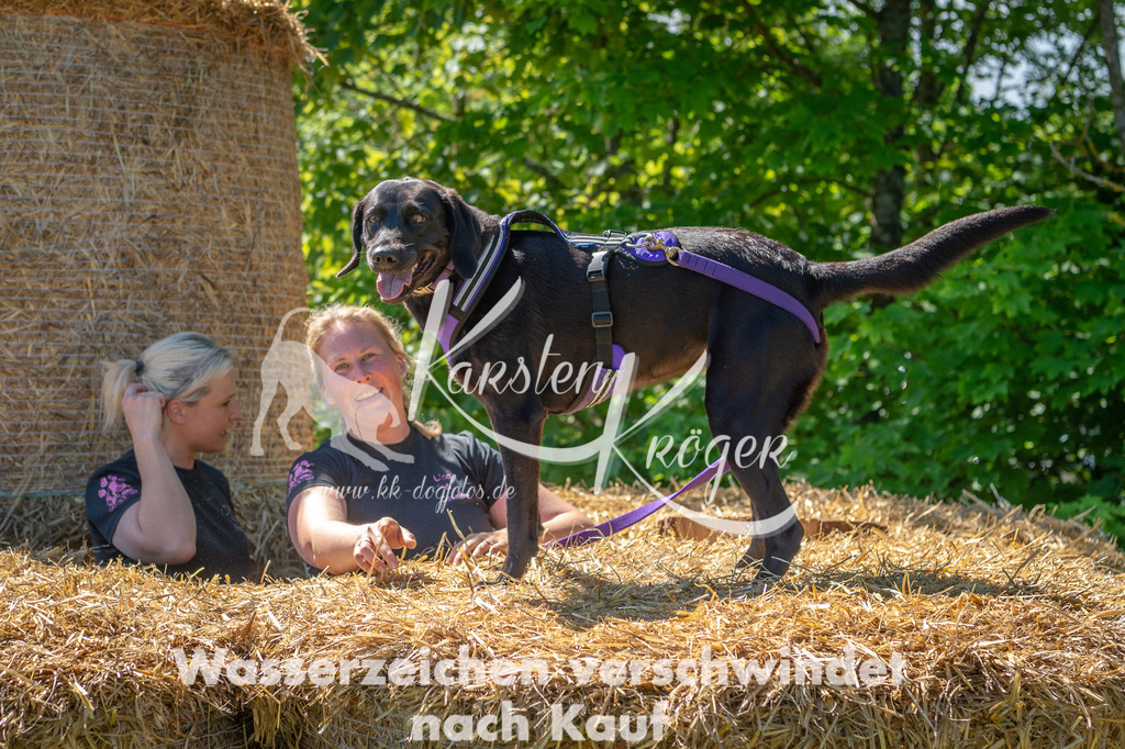 1055STR_6054 | kk-dogfotos
