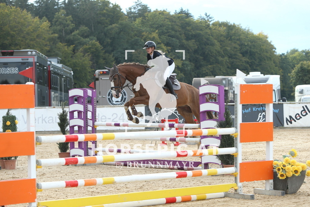 DL2Q7316 | Willkommen bei Brunnmayr - Design & Fotografie – Ihrem Spezialisten für Reitturniere und Pferdeveranstaltungen in Oberösterreich, Salzburg und Bayern! Seit über 17 Jahren sind wir leidenschaftlich dabei.