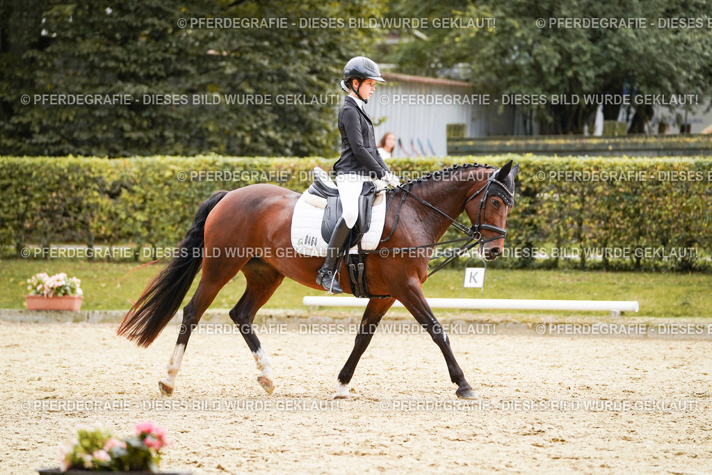 DSC09434 | Pferdegrafie