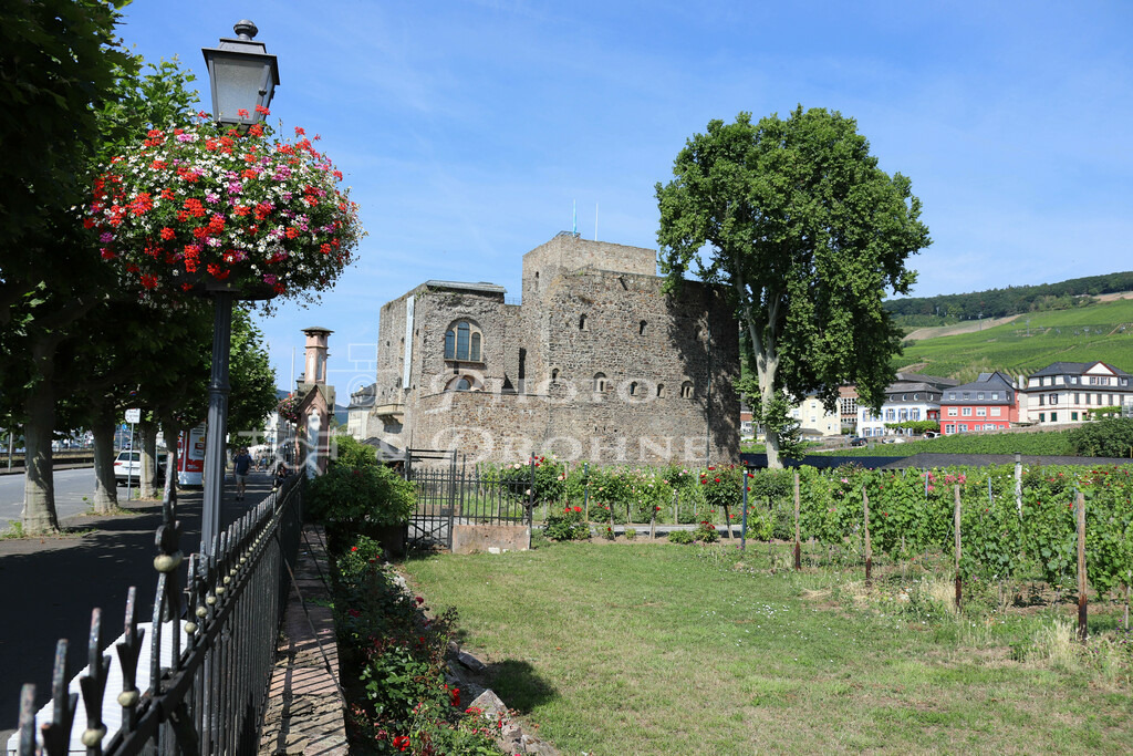 Rüdesheim-8861 | Die Brömserburg ist eine Mittelalterliche Burg in Rüdesheim am Rhein. Die Burg kann besichtigt werden und es finden hier Veranstaltungen statt. - Realisiert mit Pictrs.com
