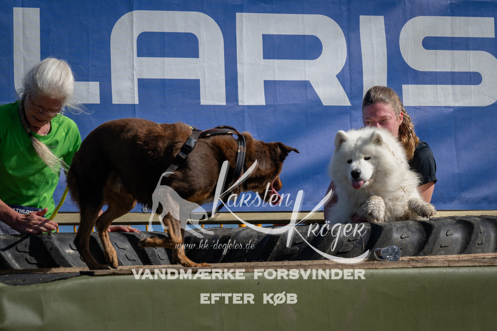1055_ZZ99569 | kk-dogfotos