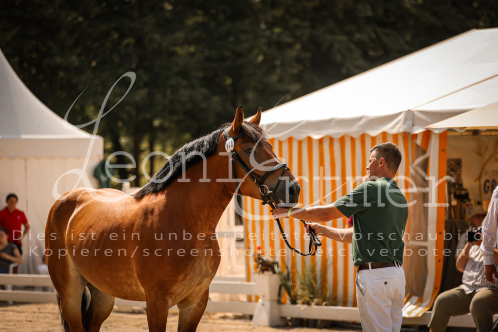 1.Sa00055 | Leoni Ertmer Photography - Realisiert mit Pictrs.com