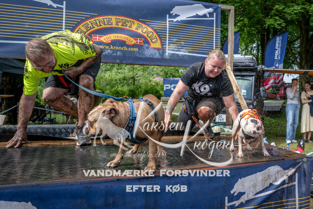 1115_ZZ93518 | kk-dogfotos