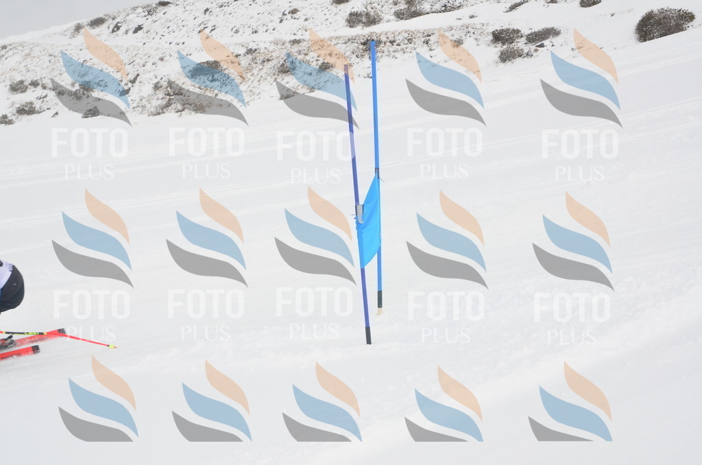 A5462 | holidayphoto