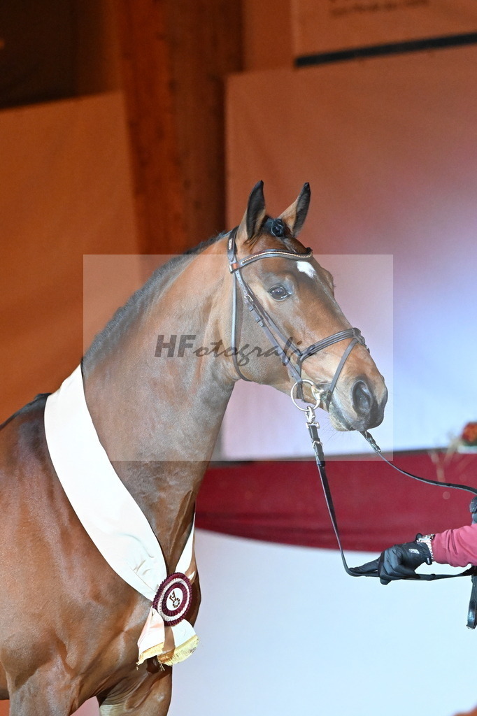 Chaplin_s Touch_Bachl_3261930 | hf-fotografie - Realisiert mit Pictrs.com