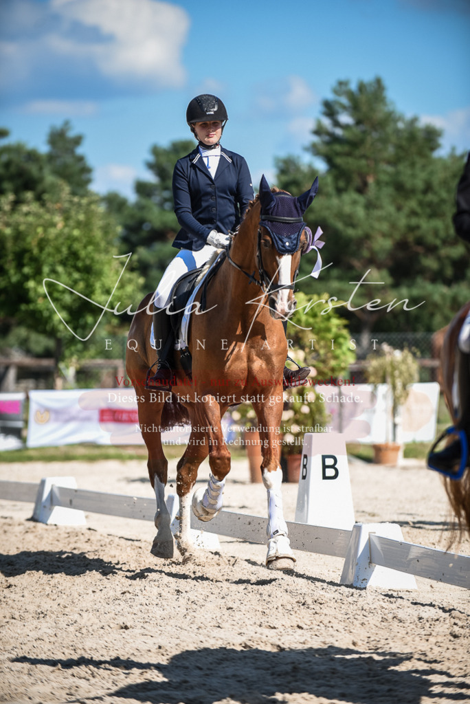 DSC_9752 | Pferde- und Turnierfotografie in Westsachsen. Pferdeportraits, Auftragszeichnungen und intuitive Kunst.