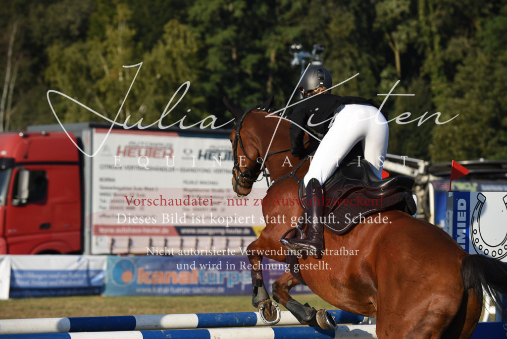 DSC_4816 | Pferde- und Turnierfotografie in Westsachsen. Pferdeportraits, Auftragszeichnungen und intuitive Kunst.