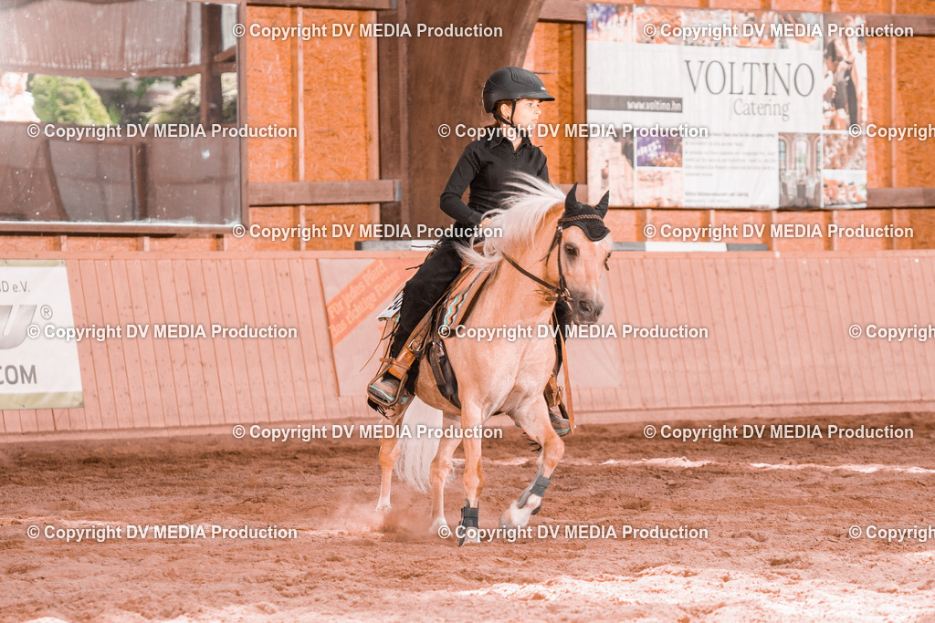 NE200698 | dv-media-shop - Realisiert mit Pictrs.com