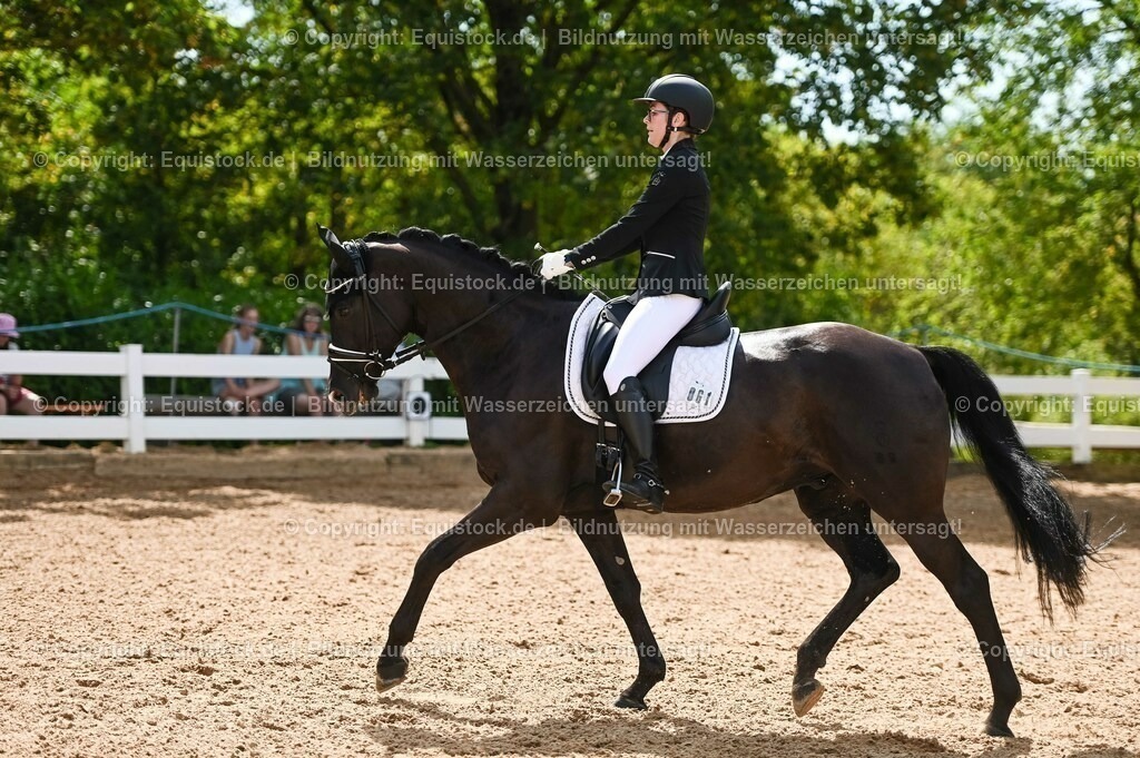 20230715_07_Dressurpferdeprfg. Kl.L_0181 | equistock
