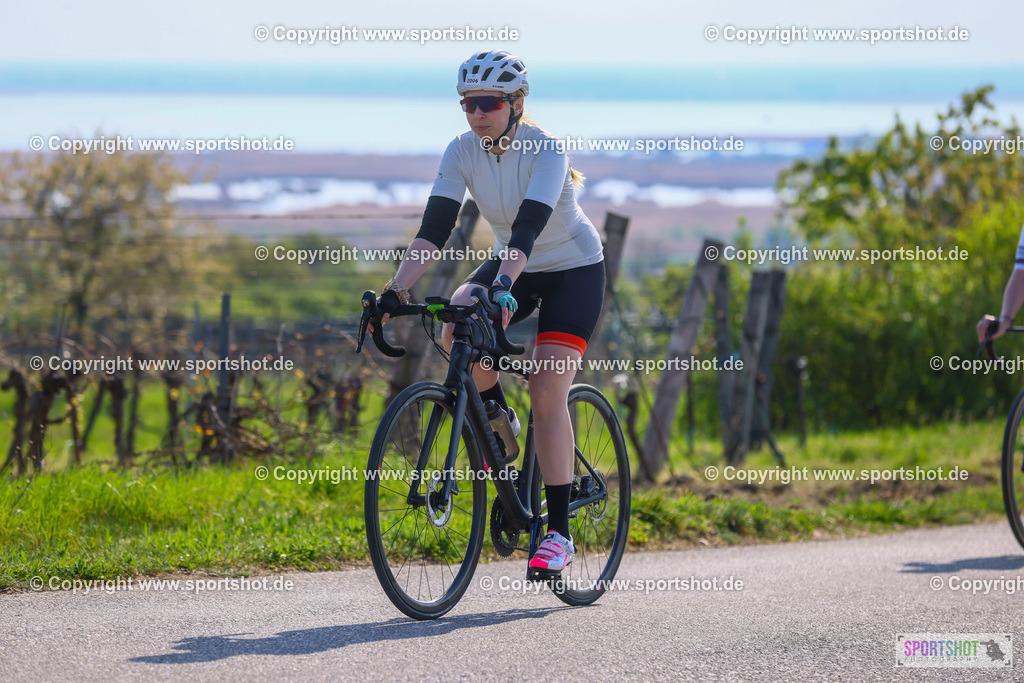 TRA_0357 | Neusiedlersee Radmarathon 2026@sportshot_your_pictrs #yourpictures#roadtowm2029 #nrm #neusiedlerseeradmarathon #neusiedlersee #neusiedlerseetourismus #burgenland #mörbisch #nrm26 #burgenlandtourismus #voglundco #poweredbyburgenlandtourismus #radsport #rad #marathon #ucigranfondo #visitburgenland #ucigranfondoworldseries
