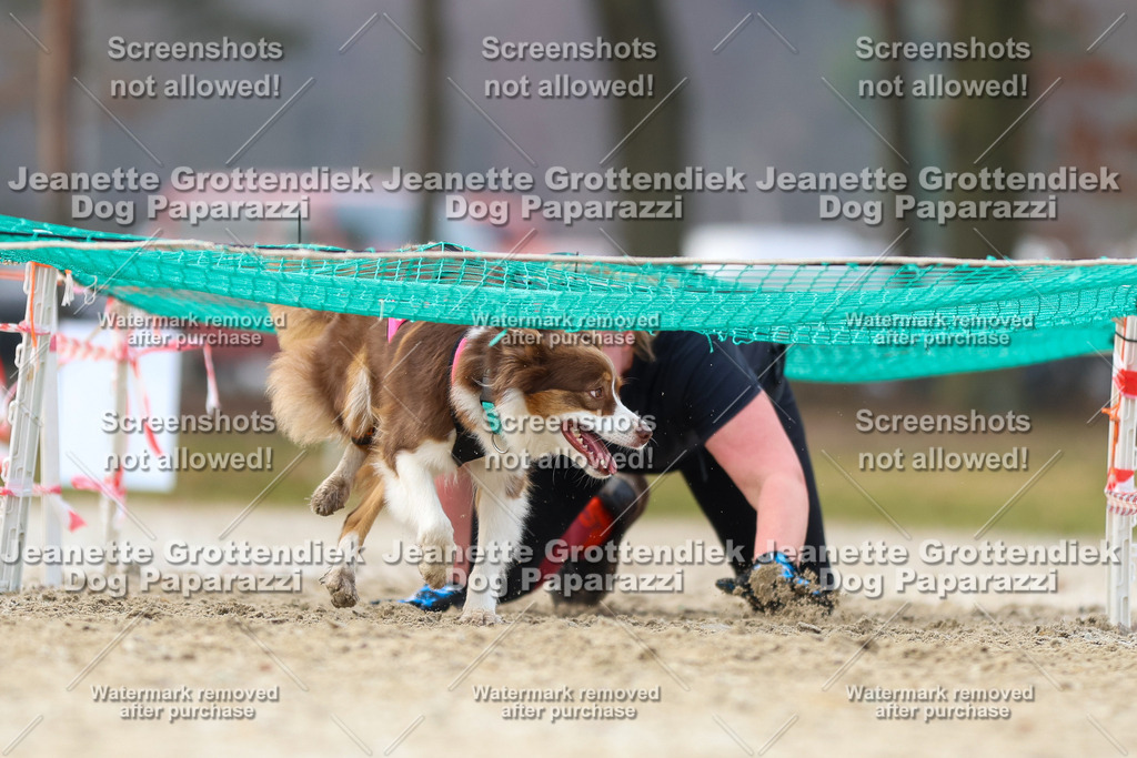 Dog Paparazzi - Strongdog North Mrz26-4106 | Dog Paparazzi Jeanette Grottendiek Fotografie & Videografie - Realisiert mit Pictrs.com