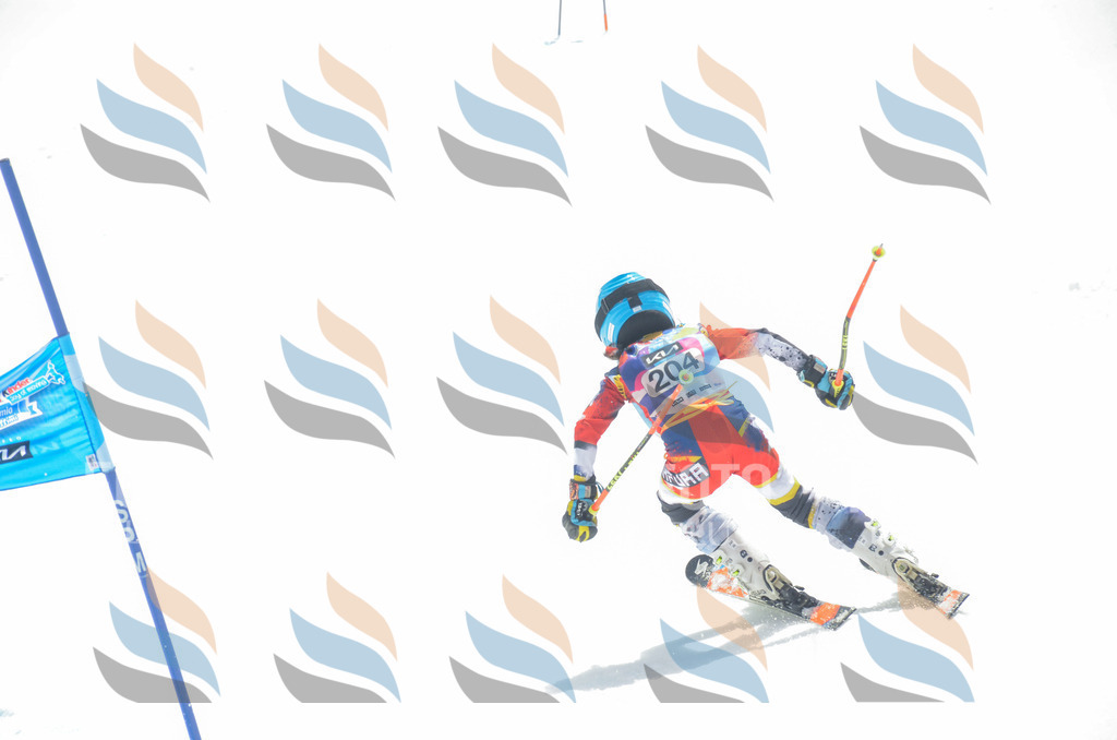 _ELE6970 | holidayphoto