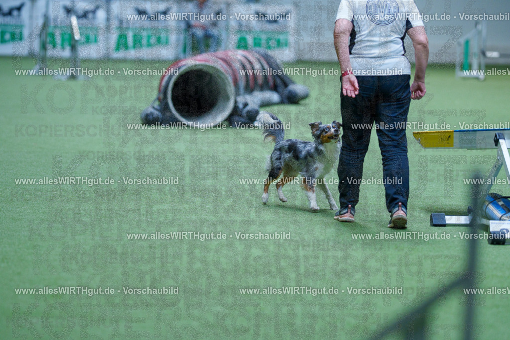 @allesWIRTHgut_Tierfotografie - www.allesWIRTHgut.de - 2604251442-7R505371 | Professionelle Tierfotografie in Mönchengladbach von Daniel Wirth (allesWIRTHgut). Liebevolle & natürliche Bilder von Hunden & Katzen für unvergessliche Erinnerungen.