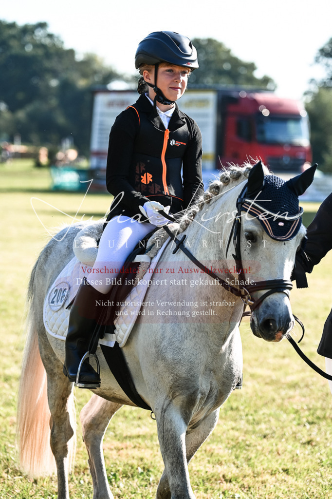 DSC_0546 | Pferde- und Turnierfotografie in Westsachsen. Pferdeportraits, Auftragszeichnungen und intuitive Kunst.