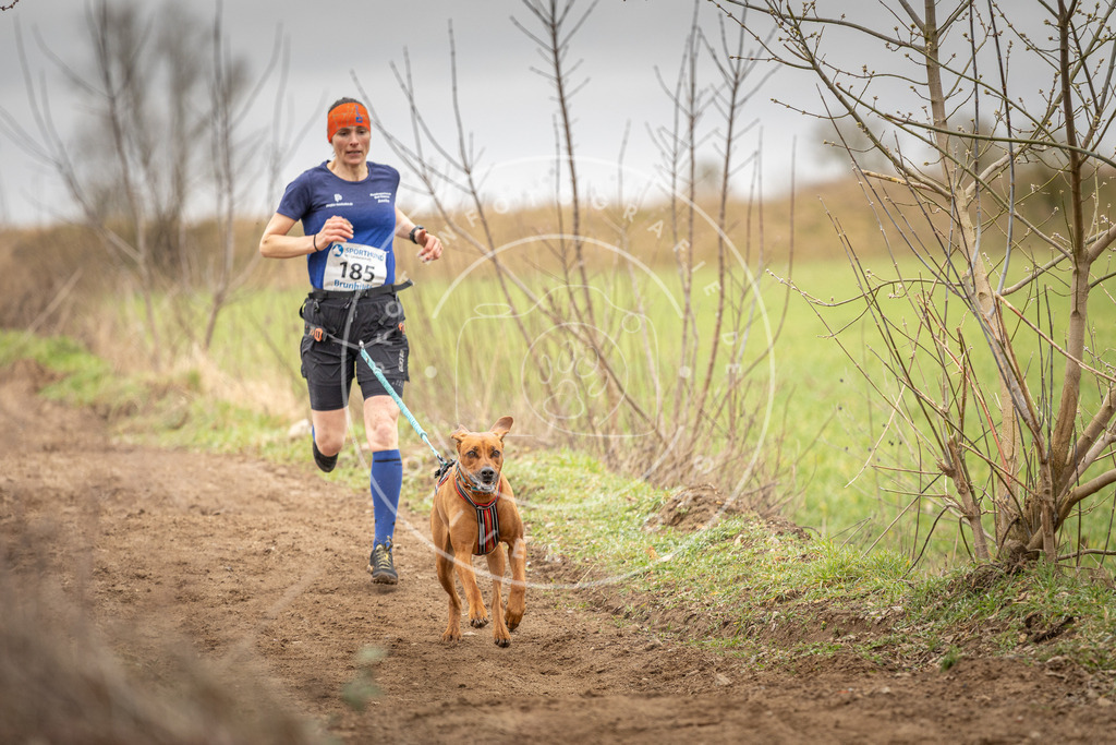 DV3A2139 | Hundefotografie, Tierfotograf, Pfotenfotografie, Fotoshooting Hund, Hunde Portrait, Hundesport, Hundeportraits, Heideshooting, Hunde, Sportfotograf, Hundefotograf, Turnierhundsport, THS,  - Realisiert mit Pictrs.com