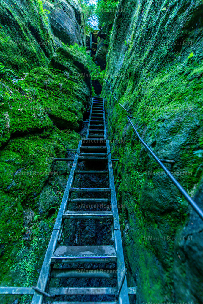 _DSC7380 | foto-rosenfeld