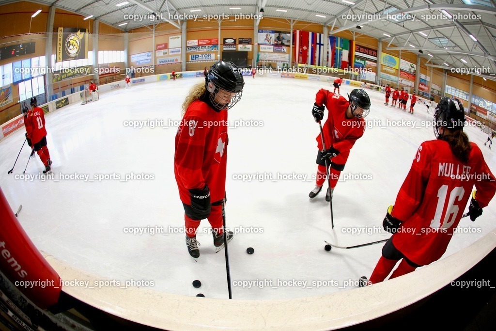MOWE1969 | hockey sports photos, Pressefotos, Sportfotos, hockey247, win 2day icehockeyleague, Handball Austria, Floorball Austria, ÖVV, Kärntner Eishockeyverband, KEHV, KFV, Kärntner Fussballverband, Österreichischer Volleyballverband, Alps Hockey League, ÖFB, 