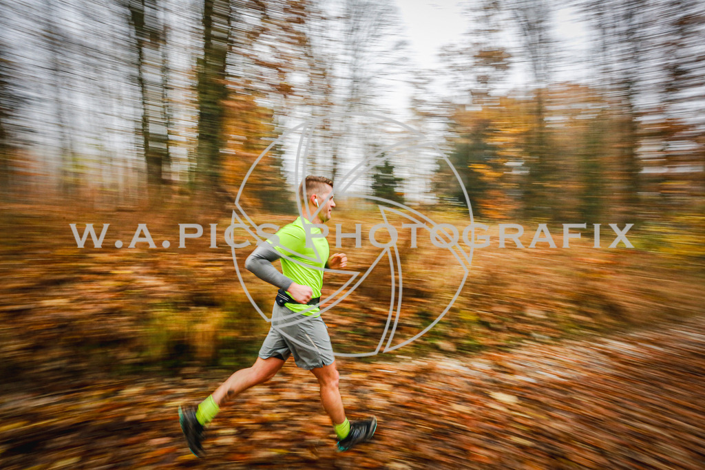 ..... | LEONDING,AUSTRIA,8.November 25, Kürnberglauf 2025  , Image shows: Photo: WAPICS / Andreas Willdoner