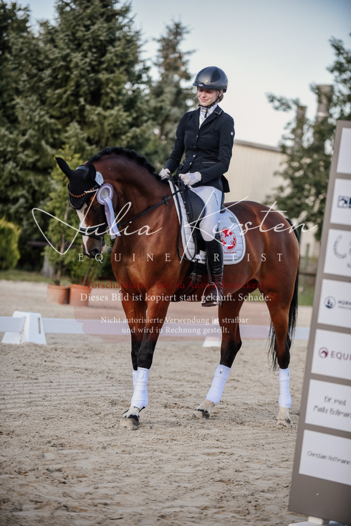 DSC_0727 | Pferde- und Turnierfotografie in Westsachsen. Pferdeportraits, Auftragszeichnungen und intuitive Kunst.