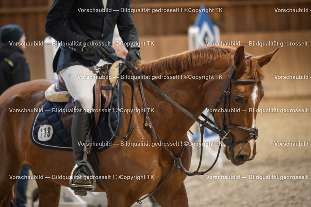 _D5A7363 | Emotionale Pferde- & People-Fotografie rund um Heidelberg, Leimen & Umgebung. Natürliche Fotos von Pferd, Mensch & Familie. Jetzt Termin sichern!