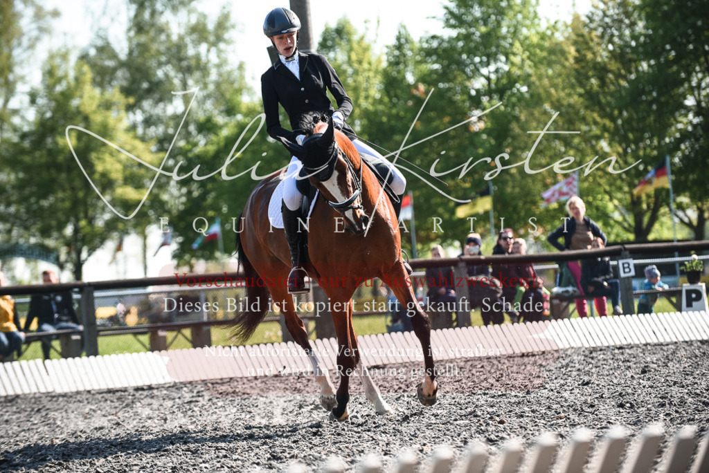 DSC_8676 | Pferde- und Turnierfotografie in Westsachsen. Pferdeportraits, Auftragszeichnungen und intuitive Kunst.