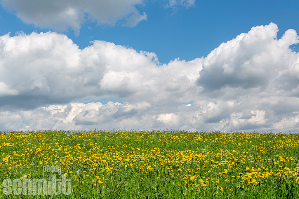 PS-Natur-2026-55 | Entdecke die größte Bildgalerie der Region mit Fotografien aus dem Allgäu, der Bodenseeregion, Oberschwaben, dem Donautal und der Schwäbischen Alb. Landschaften, Luftaufnahmen und Reisefotografie als Wandbild und Fotokunst. - Realisiert mit Pictrs.com