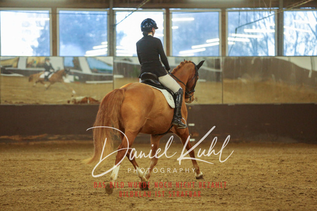 IMG_7075 | Turniersportfotografie; Pferdefotografie; Dressurfotografie