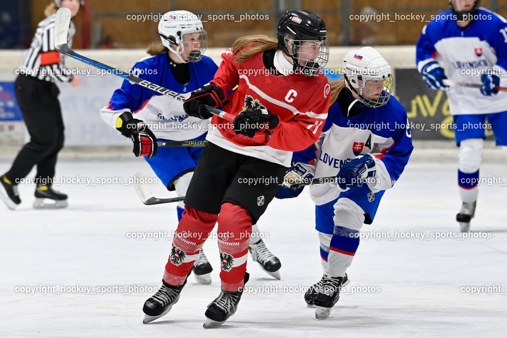 BST_3652 | hockey sports photos, Pressefotos, Sportfotos, hockey247, win 2day icehockeyleague, Handball Austria, Floorball Austria, ÖVV, Kärntner Eishockeyverband, KEHV, KFV, Kärntner Fussballverband, Österreichischer Volleyballverband, Alps Hockey League, ÖFB, 