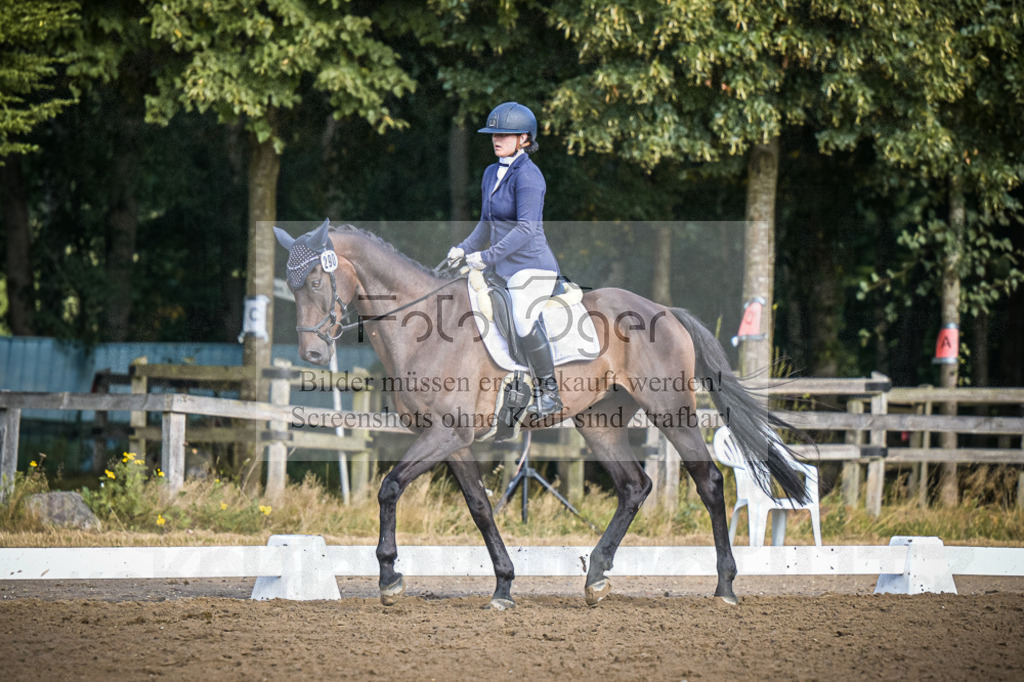 DOS_0354 | Entdecke hochwertige Reitturnierfotos von Foto Oger. Professionell, emotional und authentisch – jetzt Lieblingsmomente im Shop bestellen.Deutschlandweite Turnierfotografie. - Realisiert mit Pictrs.com