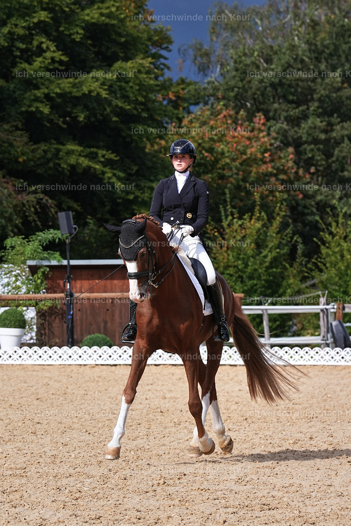 07-201-DRESSUR  S___  -Marixx-5166 | working equitationturnier fotograf videograf stoibphotography marixx film working equitation deutschland reitsport turnierfotografie eventfotografie equestrian events