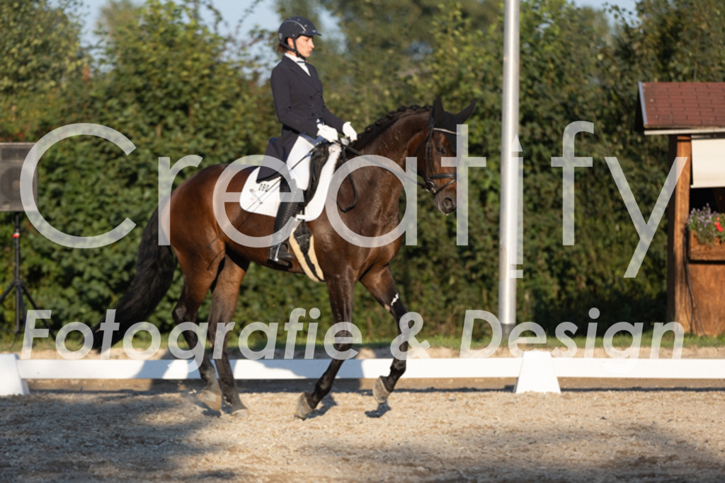 IMG_1552 | Creatify Fotografie