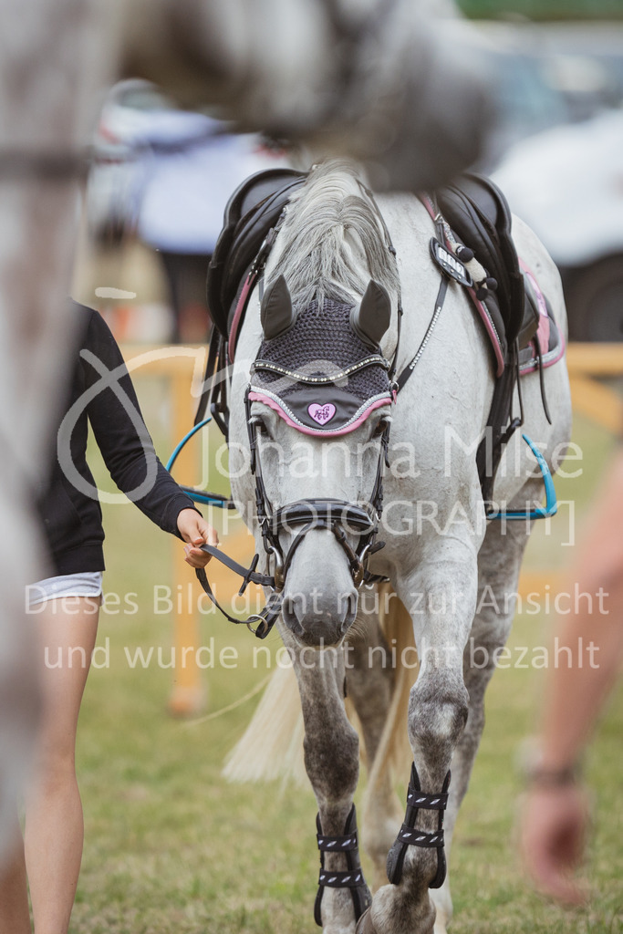 220714_LC_A2-Spr-900 | Deine schönsten Turniermomente als professionelle Fotos! Entdecke hochwertige Pferdesport-Fotografie im Online-Shop. Jetzt Fotos finden & bestellen!