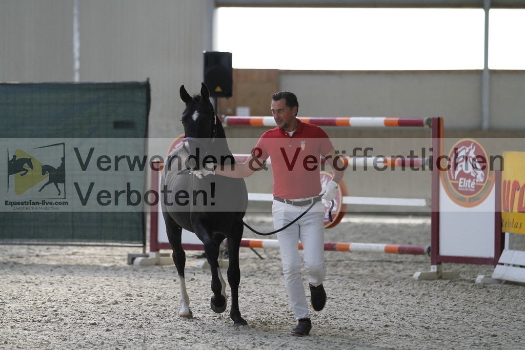 _MG_9308 | equestrian-live-com