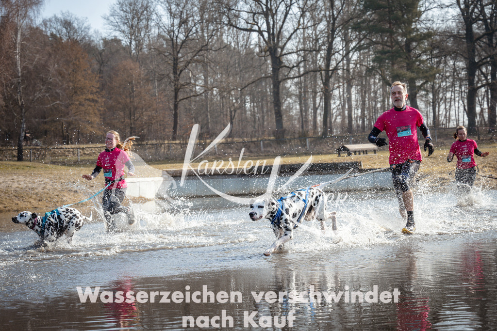 1113_ZZ93186 | kk-dogfotos