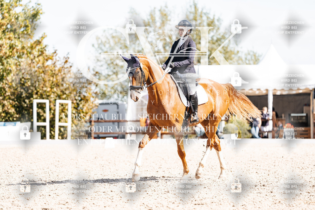 CK903144 | Turnierfotografie Pferdefotografie Trier Rheinland-Pfalz Pferdesport Reitsport Tierfotografie Sportfotografie Pferdevideo Pferdevideografie Equestrianvideography equestrianphotography  - Realisiert mit Pictrs.com