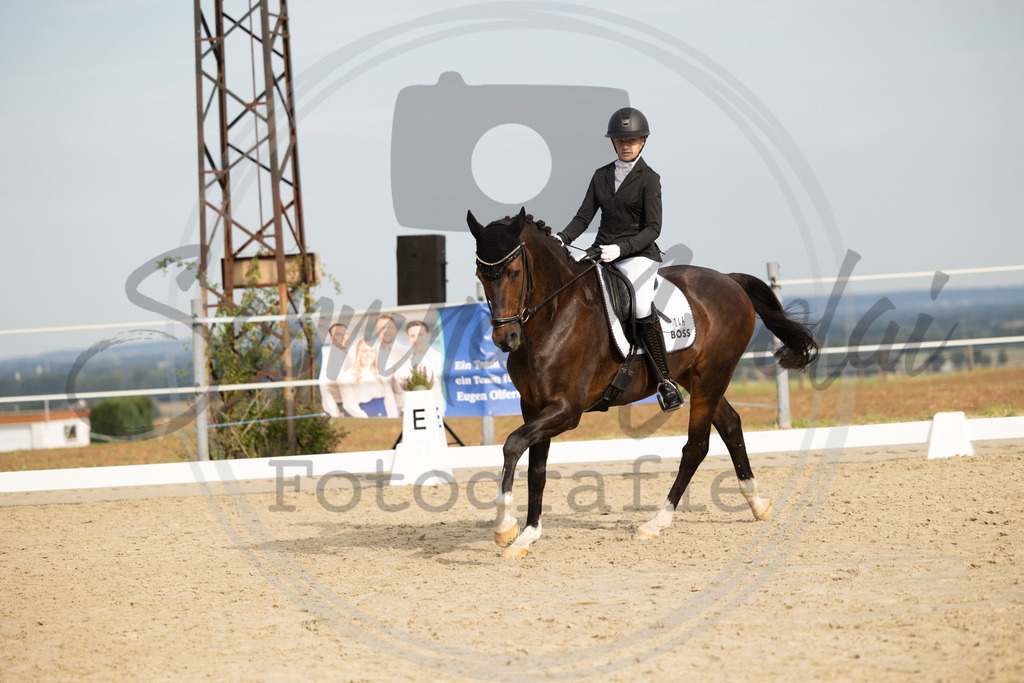 994A1117 | sabrinanicolaifotografie - Realisiert mit Pictrs.com